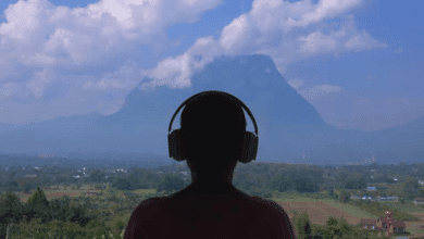 Open-Back Headphones