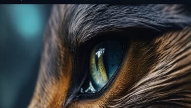 mysk2 dyndns org 3 login registration